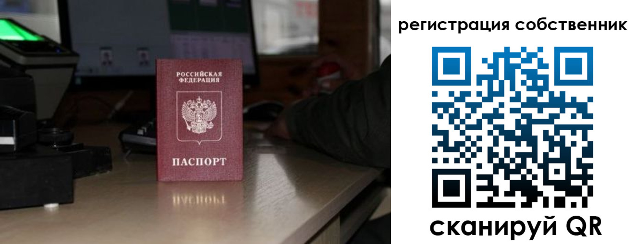 прописка поиск в Шумихе